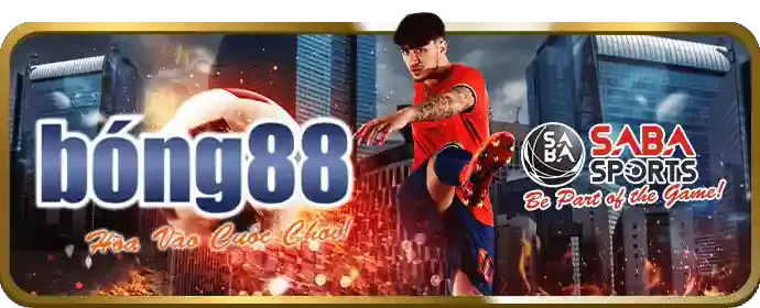 Chương trình hoàn trả cược thể thao hàng tuần f79 bet